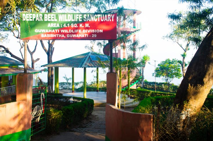 Deepor Beel Sanctuary